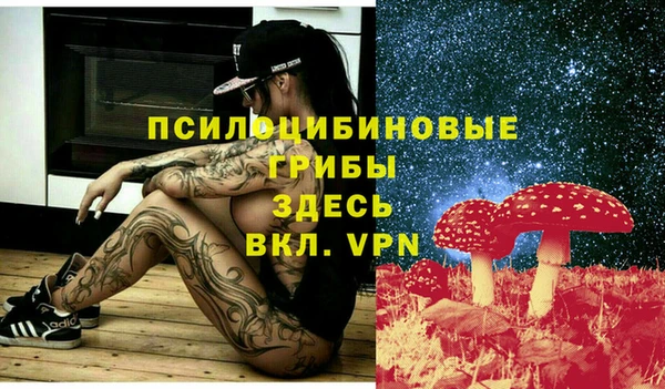 МДПВ Няндома