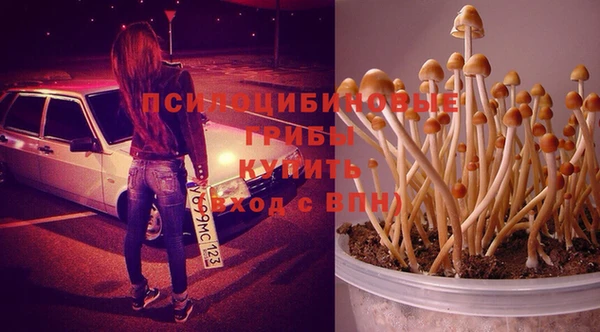 ешки Нягань