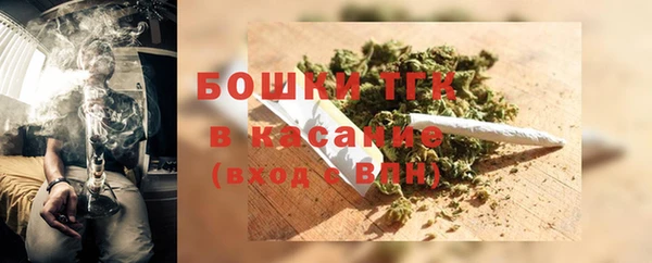 стаф Бикин