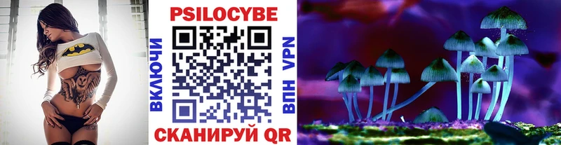 Псилоцибиновые грибы прущие грибы  Кизел 
